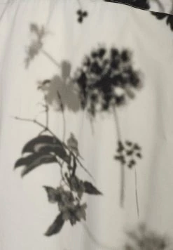 Minimum Homme RASMOS Chemise White Asparagus -Minimum Soldes Magasin f1a4c8ac5d4d4b019eb9465c215cf9aa